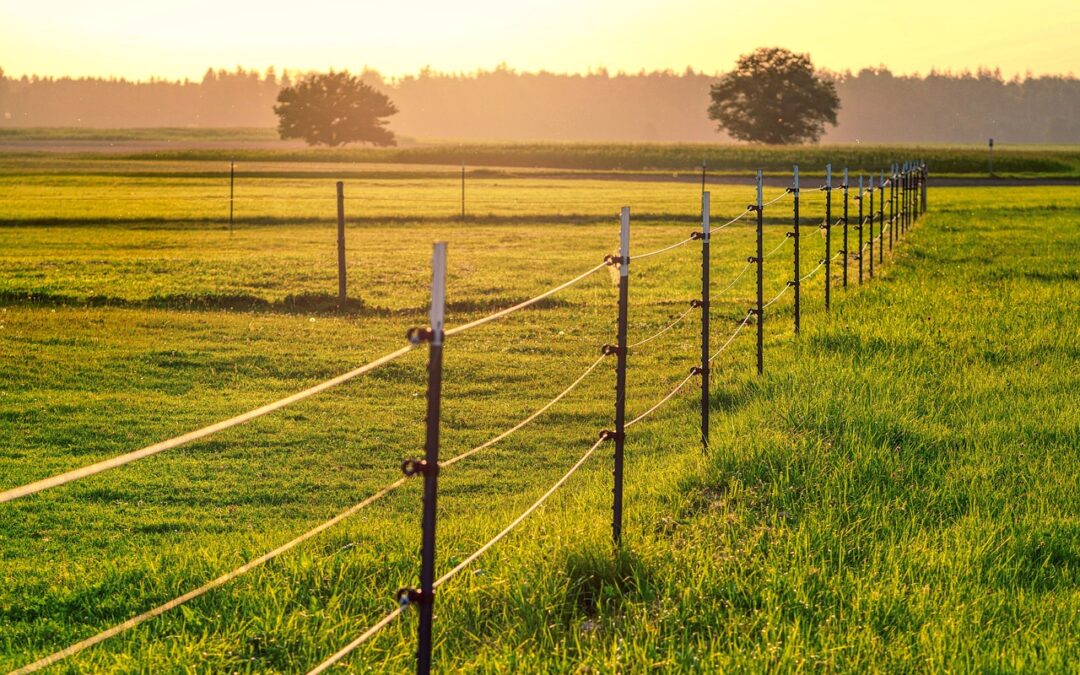 Fence Installation In Highlands Ranch CO ~ Need A Fence…