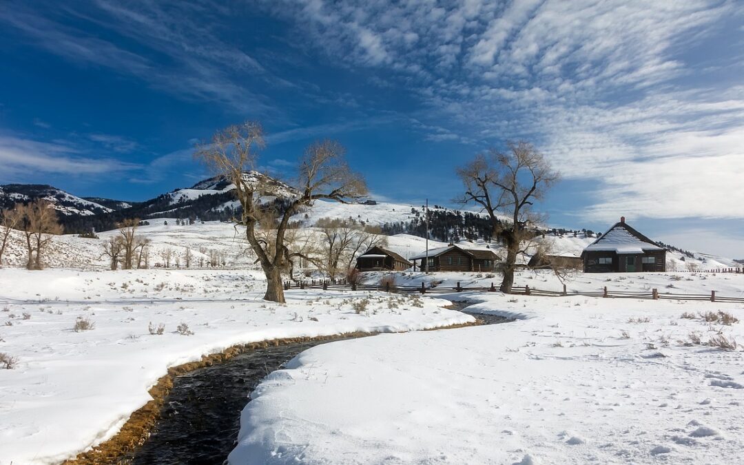 Game And Comic Stores In Wyoming ~ Dive Into The…