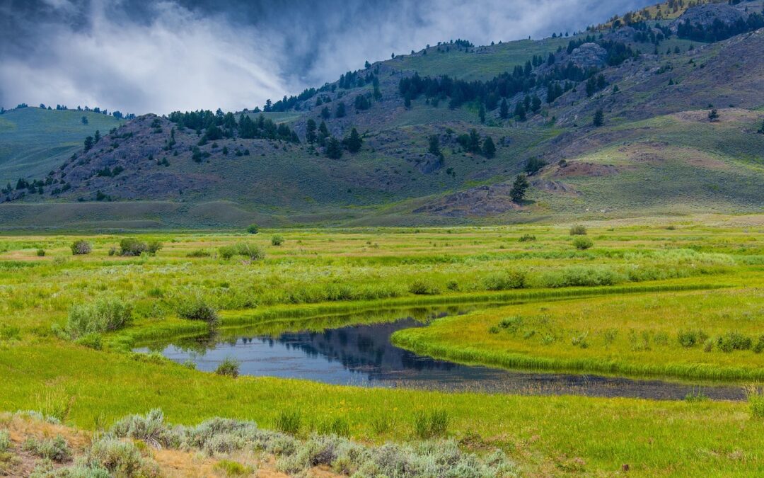 Handcrafted Goods Stores In Wyoming / Wyoming’s Hidden Gems: Discover…