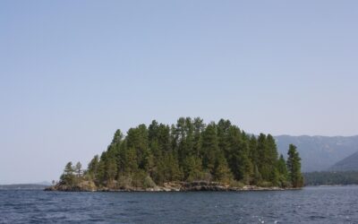 Home Cleaning Services In Selkirk MB Carpet Cleaning Services In…