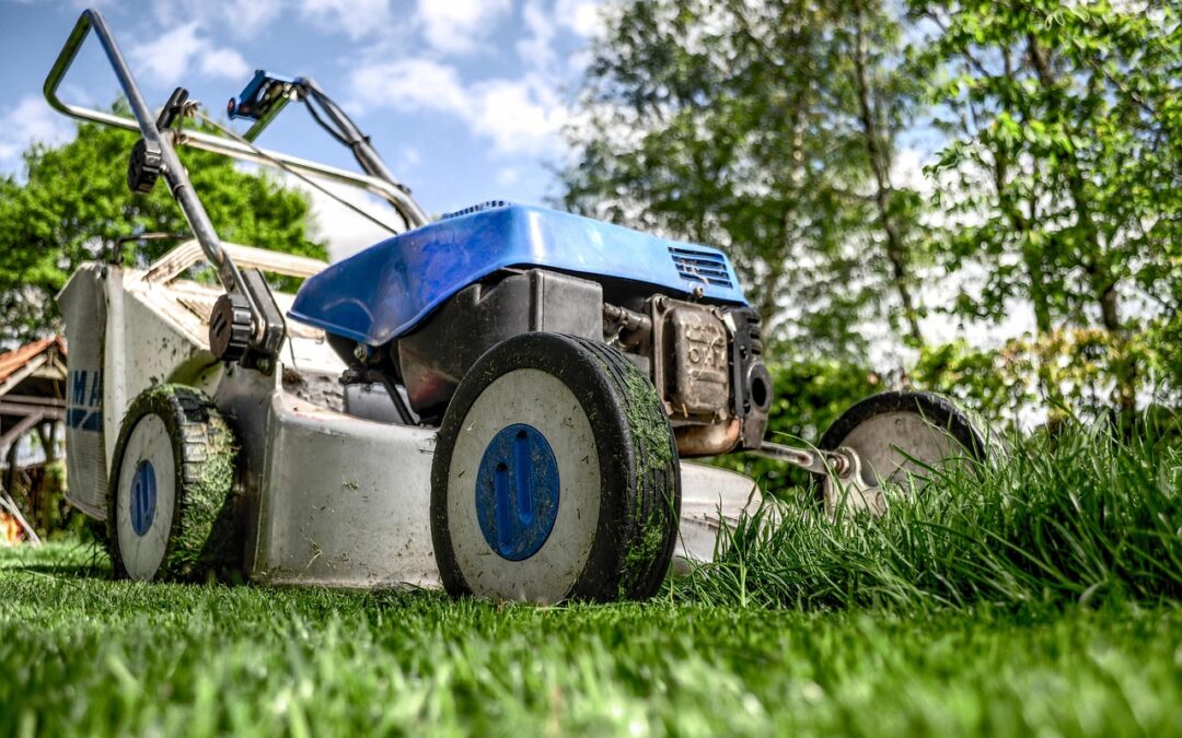 Lawn Maintenance Near Me – Your Lawn, Our Expertise: Finding…