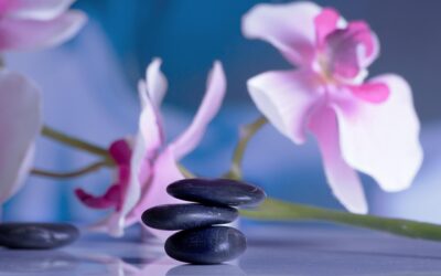 Massage Therapy Services In Massachusetts: Massachusetts Massage Therapy: An Oasis…