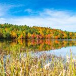 Residential Snow Removal In New Hampshire ~ Say Goodbye To...
