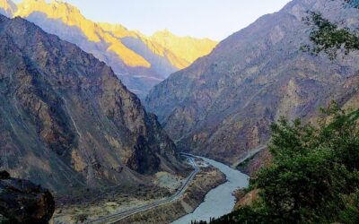 SEO Experts In Pakistan / Discover The Power Of SEO…