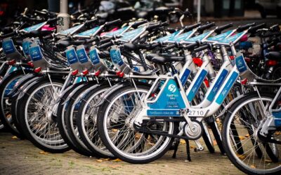 Snowmobile Rentals &raquo; Snowmobile Adventures In The Northern Mariana Islands:…