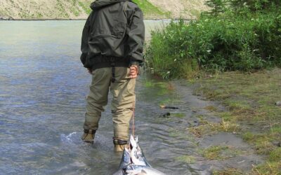 Sports Clubs In Alaska ~ Ready To Score? Your Guide…