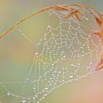 Web Hosting: Your Website, Your Idaho Home: Finding The Perfect...