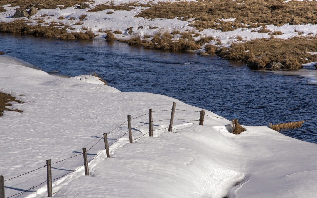 Yard Fencing Near Me ~ Need A Fence? Find The…