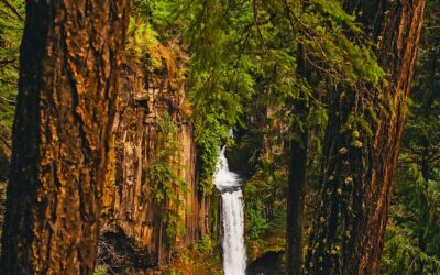 Local Electricians In Murrieta Menifee Electricians Temecula Electricians Murrieta Electricians…