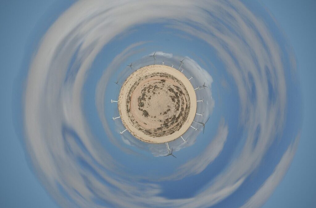 Active Climate Rescue Initiative For Reforestation | Idaho’s Forests: Fighting…