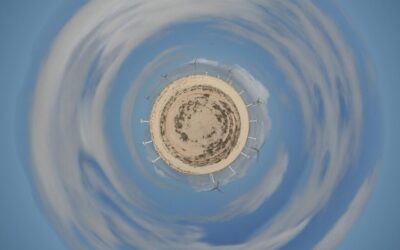 Active Climate Rescue Initiative For Reforestation | Idaho’s Forests: Fighting…