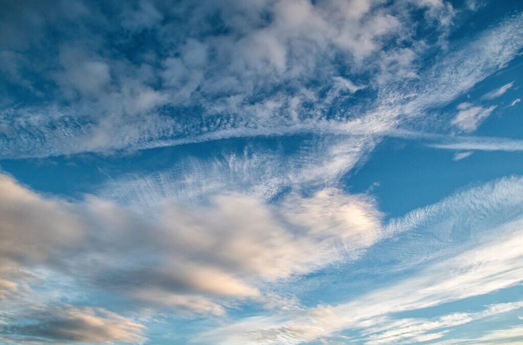 Active Climate Rescue Initiative Projects ~ Saving Our Planet, One…