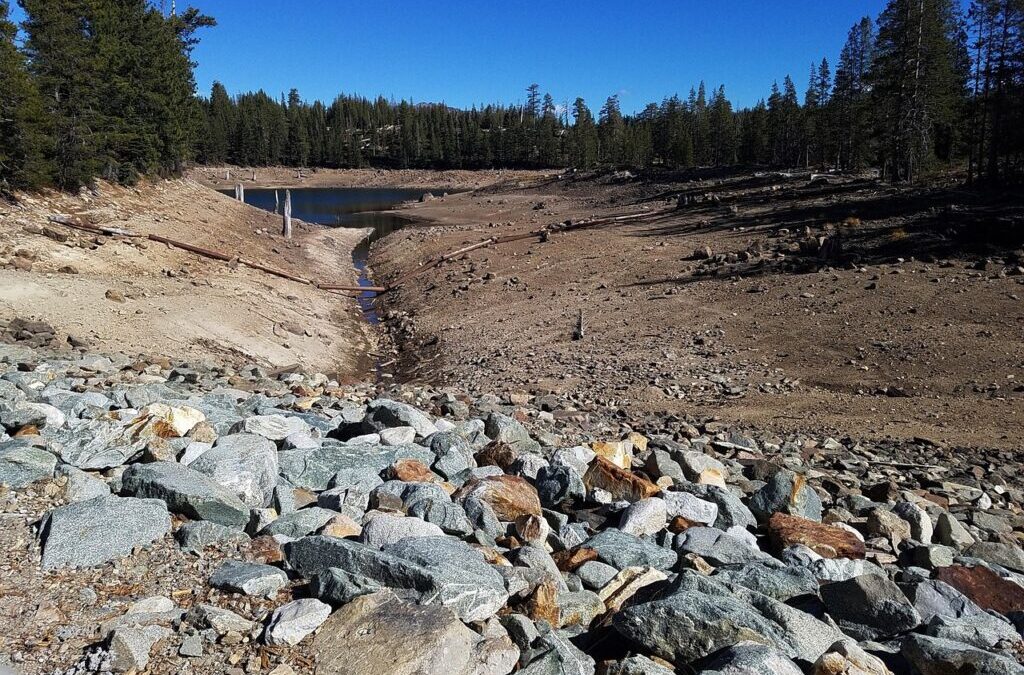 Active Climate Rescue Initiative’s Impact On Global Warming / Can…