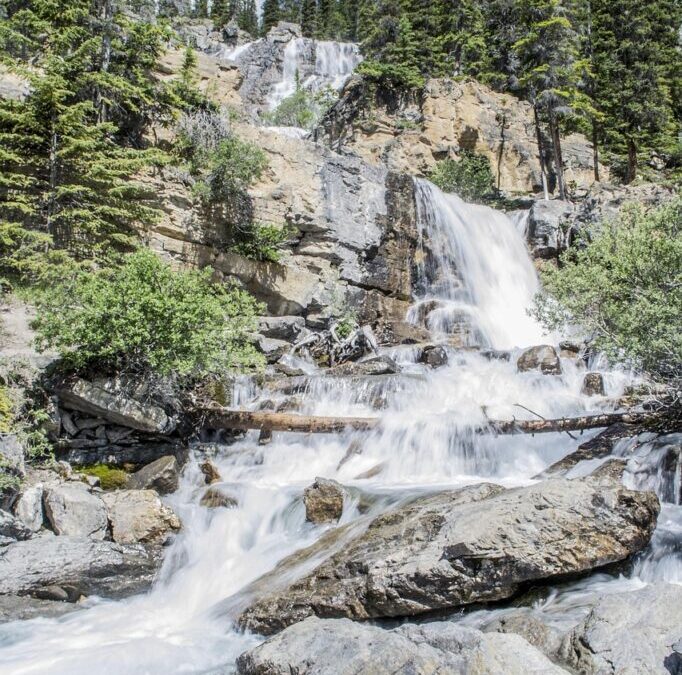 Active Climate Rescue Initiative’s Impact On Global Warming – Nevada’s…