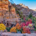 Best Restaurants In Kane County, Utah » Craving Adventure &...