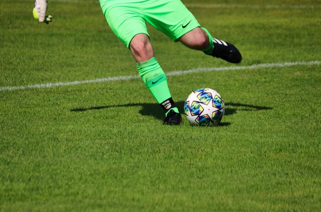 Call To Action For Readers To Support Conservation Efforts: The…