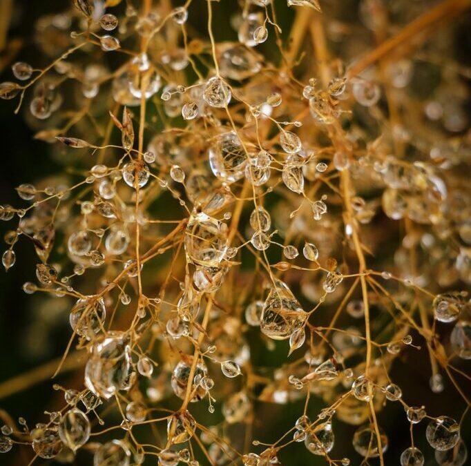 Causes Of Water Shortages – The Great Salt Lake: A…