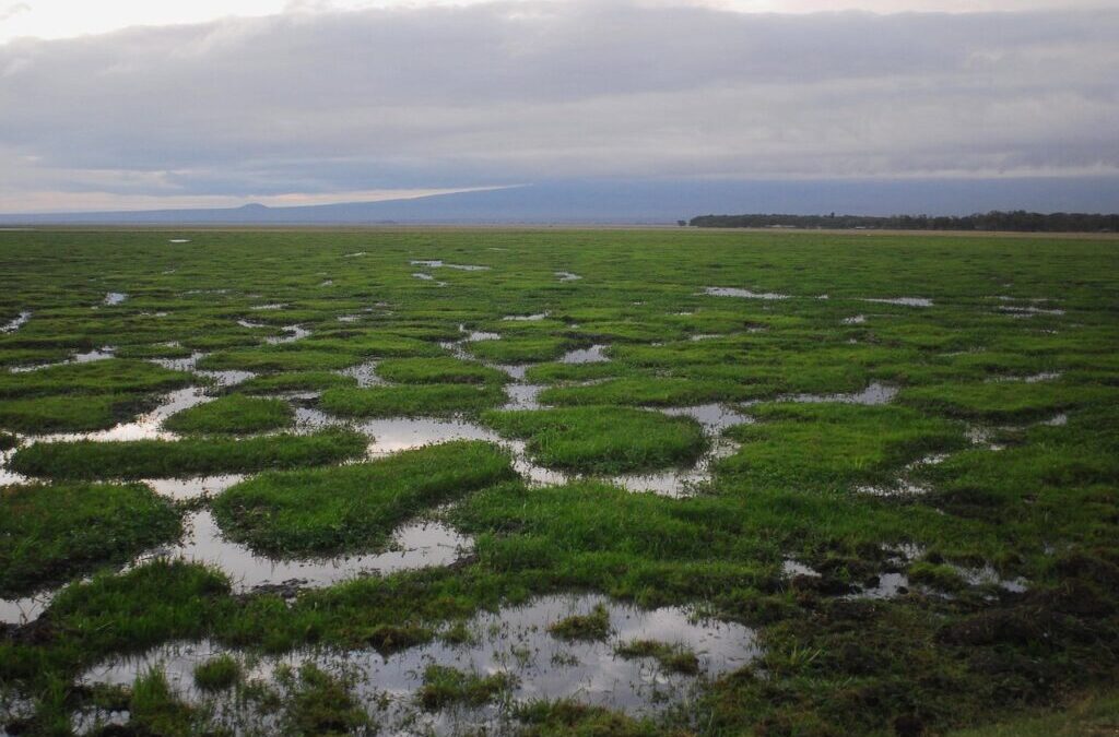 Climate Change Impact On Great Basin – Laguna Salada: A…