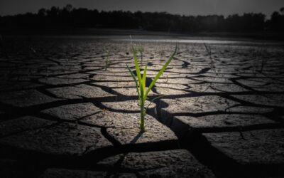 Climate Resilience Strategies For The Great Basin – The Laguna…