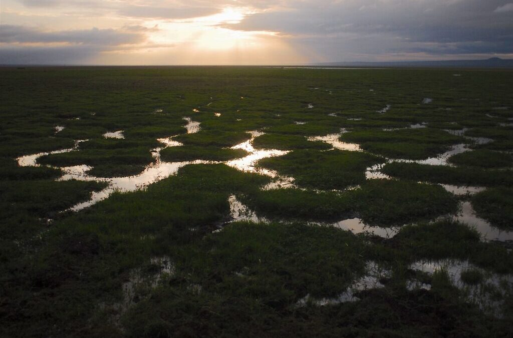 Climate Resilience – Laguna Salada: A Desert Oasis Facing A…