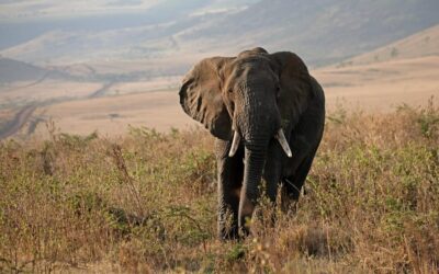 Community Involvement In Watershed Conservation | Protect Our Water, Protect…