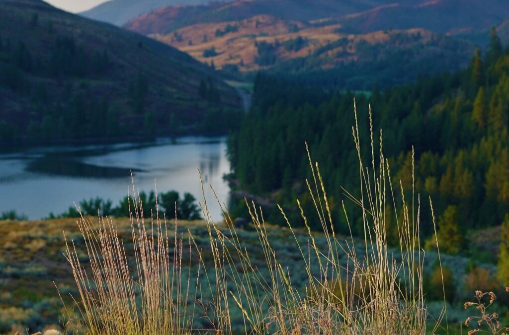 Current State Of The Lake And The Impact Of Water…