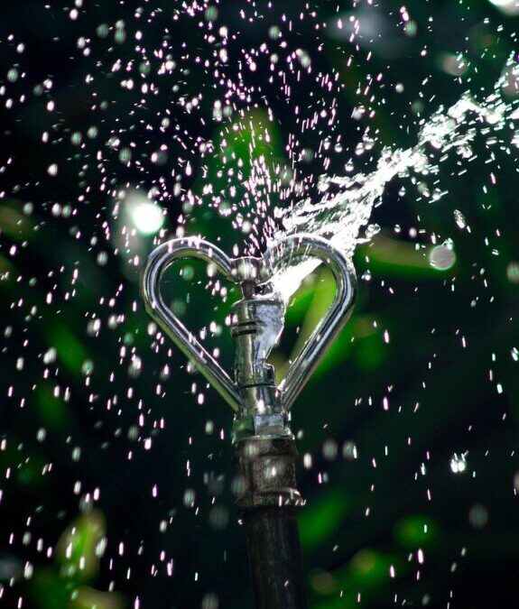 Drip Irrigation Solutions For Gardens / The Great Basin: A…