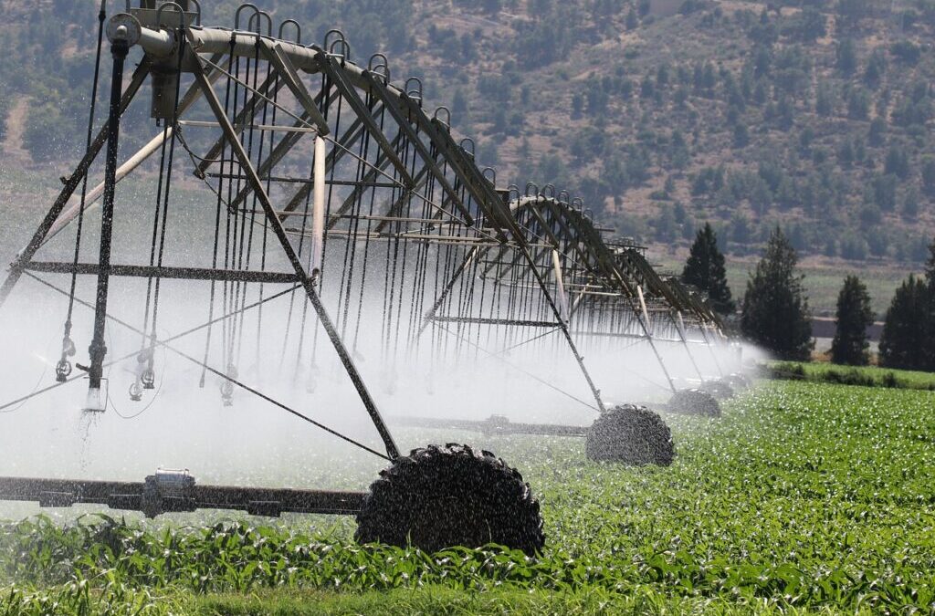 Drip Irrigation Solutions For Gardens ~ The Great Basin: A…