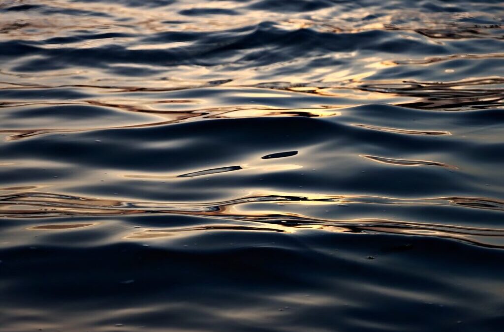 Effective Water Conservation Techniques – Water Woes In The Great…