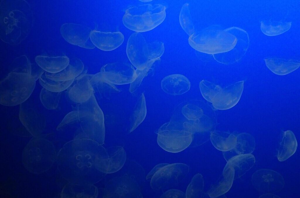 Effects On Local Wildlife And Ecosystems: The Great Salt Lake:…