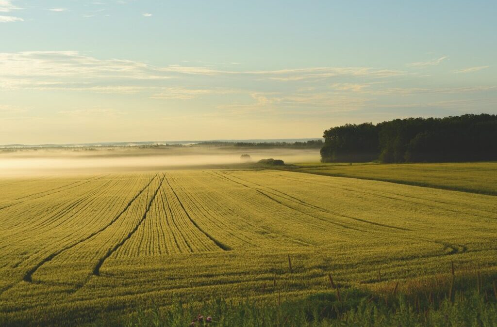 Efficient Irrigation Systems For Farms – 💦 The Great Basin:…