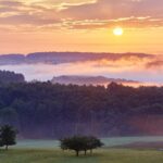 Electrician In Whitesboro TX / ⚡️ Lights Out? Get An...