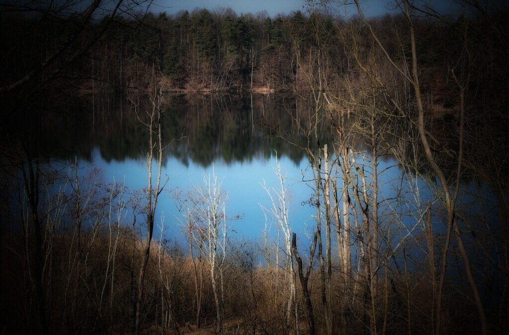 Environmental And Economic Impacts / The Great Salt Lake: A…