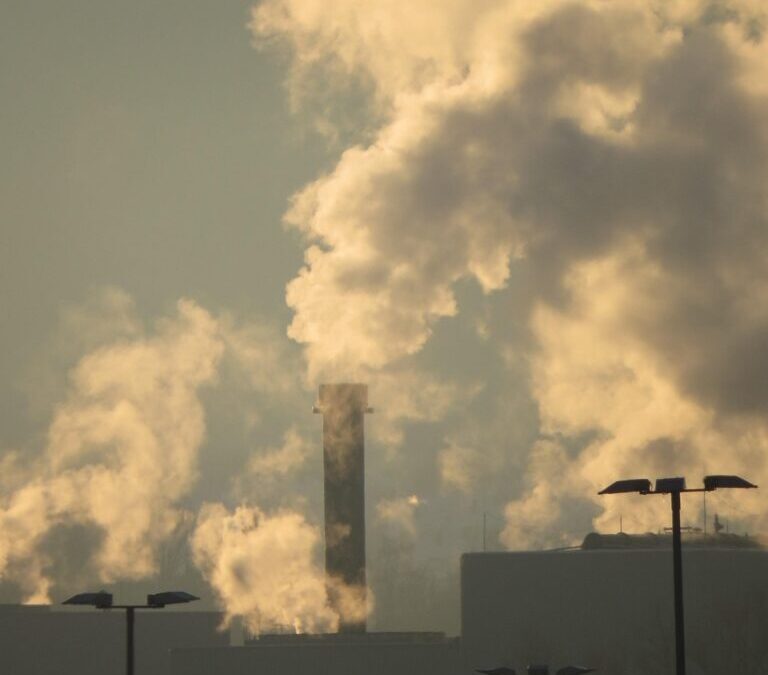 Environmental And Economic Impacts: The Great Salt Lake: A Thirsty…