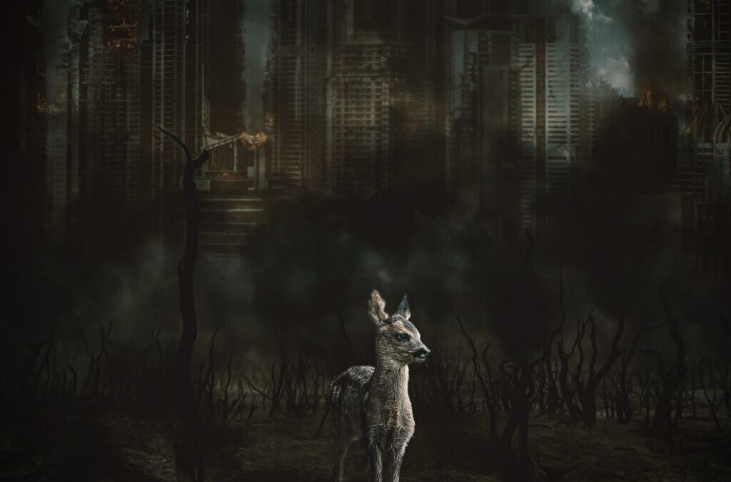 Global Warming Solutions – Montana’s Melting Future: Can We Stop…