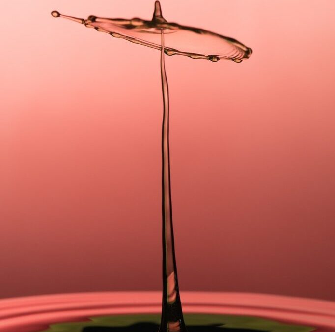 Great Basin – Water Cycle Solutions – The Great Basin:…