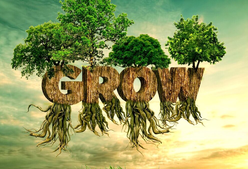 “Great Basin Ecological Research” | The Great Basin: A Land…