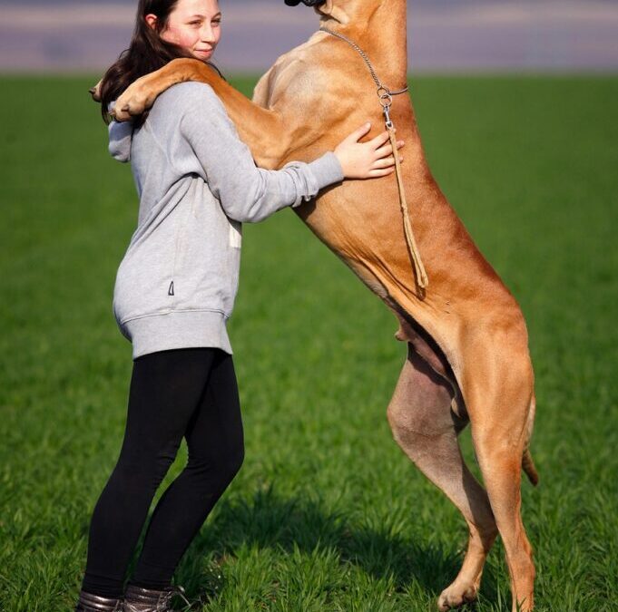 Great Basin | 💦 The Great Basin: A Thirsty Land…