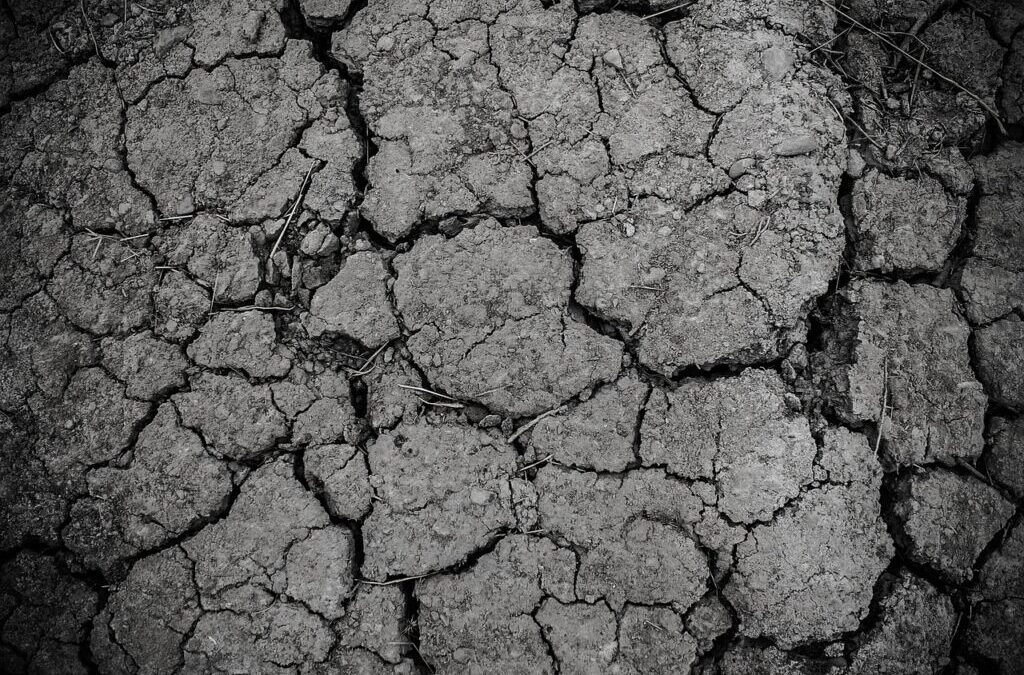 Great Salt Lake Dust Control Measures: The Great Salt Lake:…