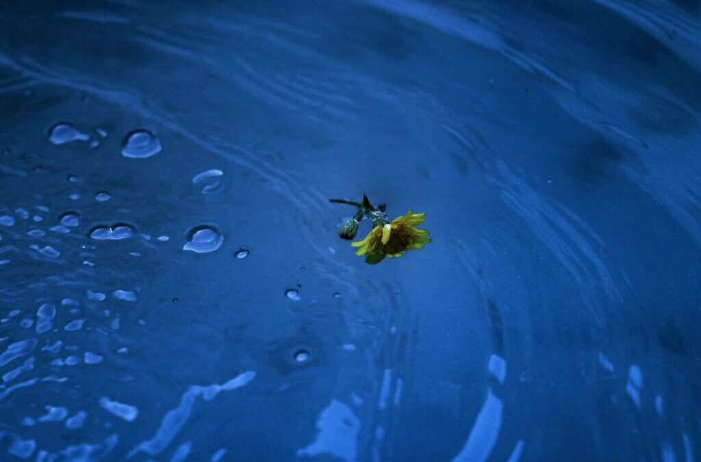 “Great Salt Lake Economic Impact” ~ The Great Salt Lake:…