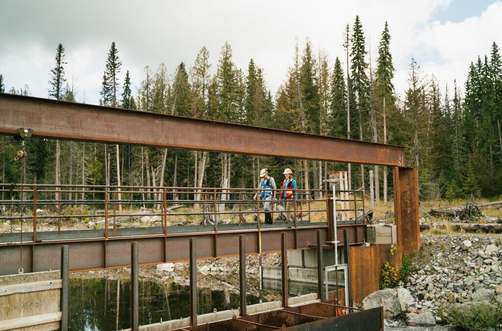 “Great Salt Lake Environmental Impact”: The Great Salt Lake: A…