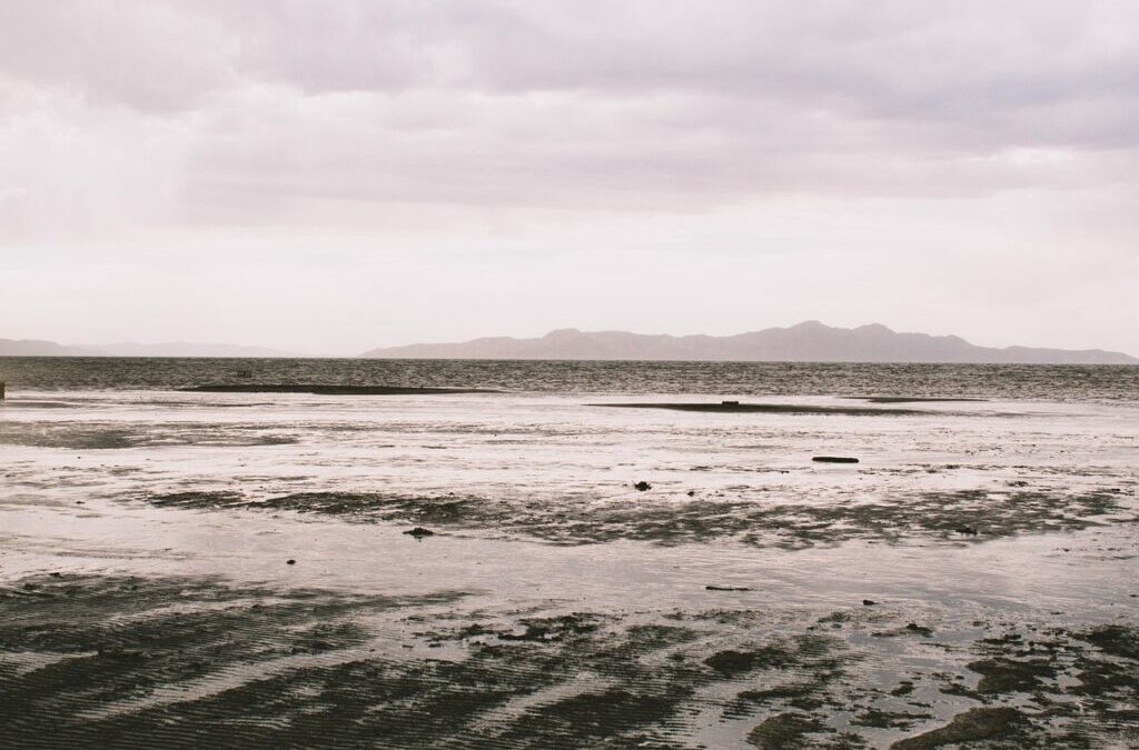 Great Salt Lake Restoration Projects | The Great Salt Lake:…