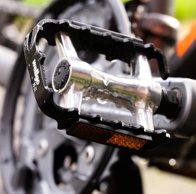 Hydrologic Cycle / The Laguna Salada: A Desert Oasis In…