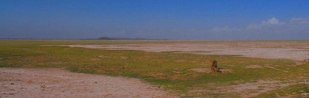 Impact Of Climate Change On Laguna Salada ~ The Laguna…