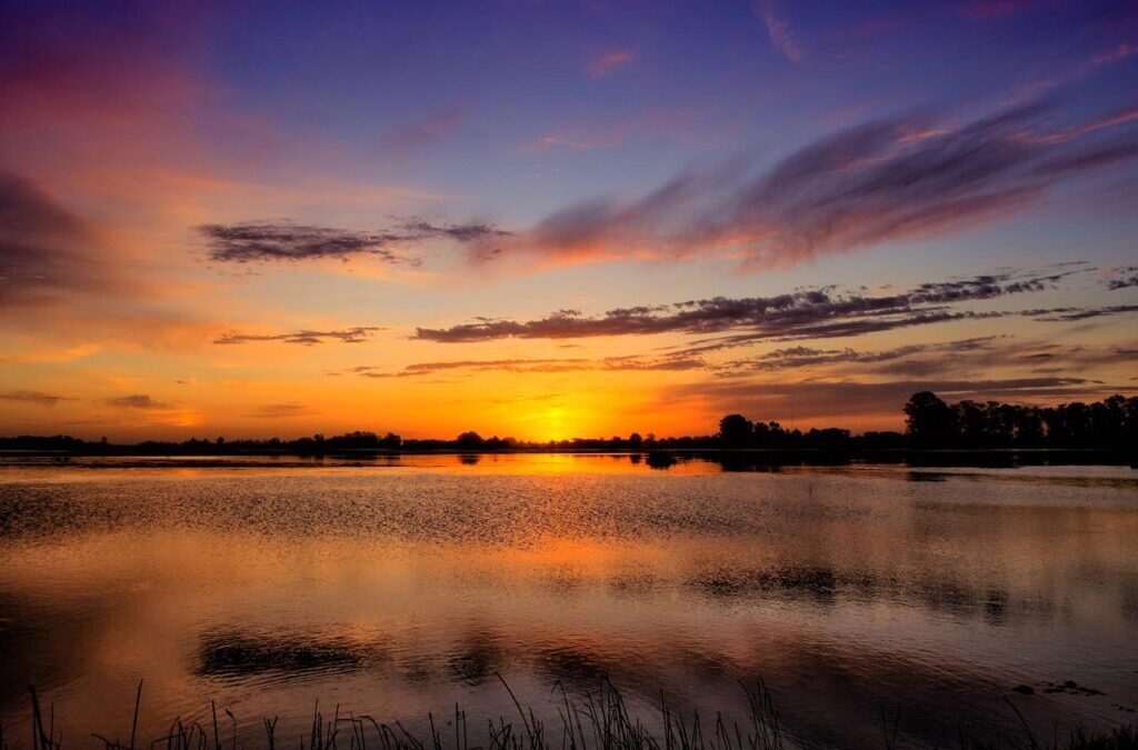 Laguna Salada: A Sea Of Salt: The Laguna Salada’s Water…