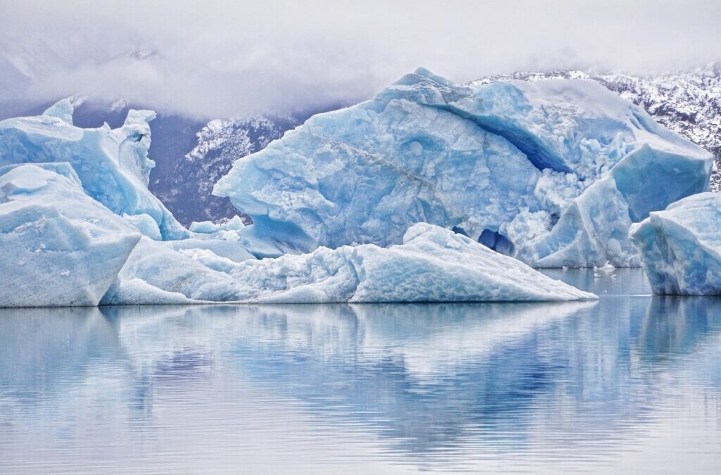 Local Climate Rescue Efforts ~ Our Planet’s Thirst: Can We…