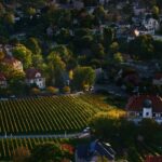 Parks & Nature: - Unleash Your Inner Explorer: Parks &...