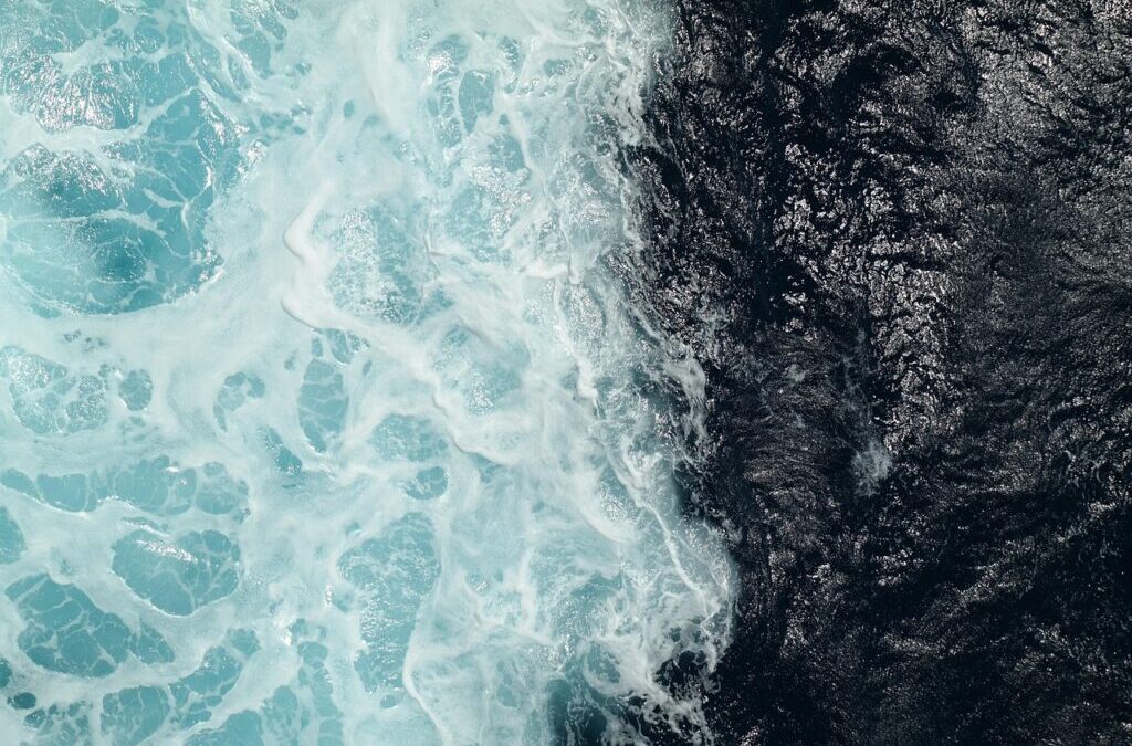 Salton Sea Hydrology: The Salton Sea: A Desert Oasis Facing…