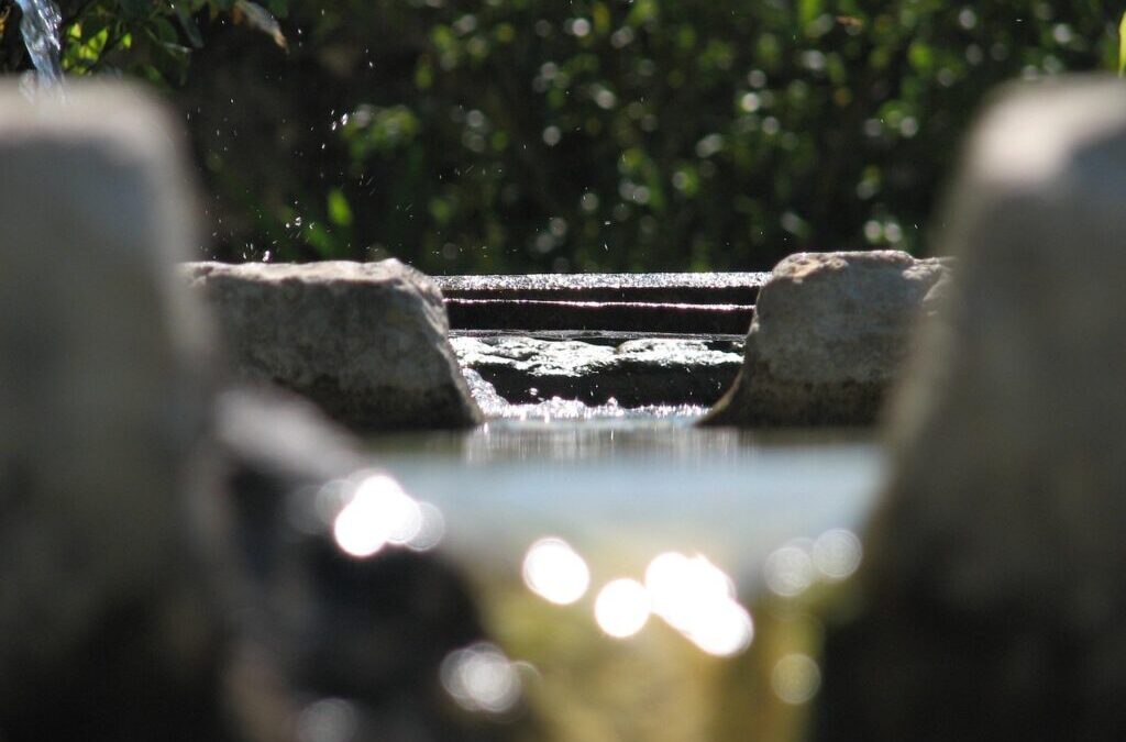 Sustainable Water Management In The Great Basin / Laguna Salada:…