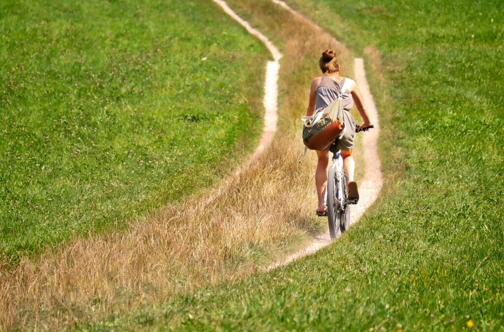 Water Cycle Management | The Great Salt Lake: A Thirsty…
